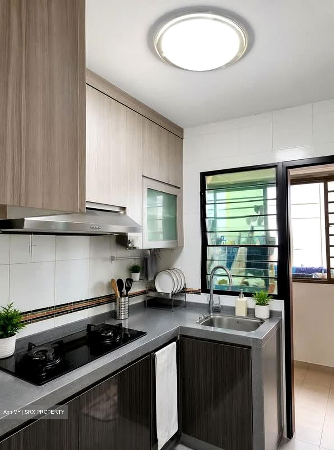 Blk 55 Havelock View (Bukit Merah), HDB 3 Rooms #606239891